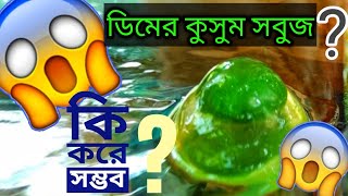 সবুজ ডিমের কুসুম ? Green egg yolk of poultry. How is this possible ?