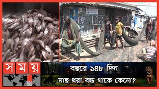 বিলুপ্তের শংকা থেকে ঘুরে দাঁড়ানো 'ইলিশ' | Chattogram Ilish | Ilish Fishing | Fishing Off | Somoy TV