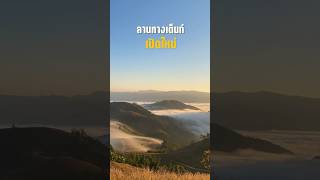 ปอกุ๊เดย์ : ลานกางเต้นท์วิวทะเลหมอก #camping #ธรรมชาติ #ไปเที่ยวกัน @chuny-journey