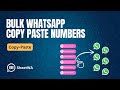 Bulk WhatsApp by Copy Paste Numbers | WASender Tutorial | WhatsApp Bulk Message Sender | SheetWA