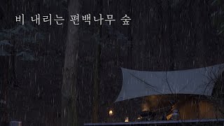 [4K] SOLO CAMPING in RAIN | 비오는 숲 | 우중캠핑 | relaxing in cosy Tarp Shelter | solo camping | 빗소리ASMR