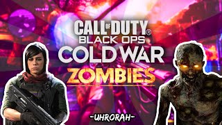 I DO ALL THE WORK - Black Ops Cold War Zombies