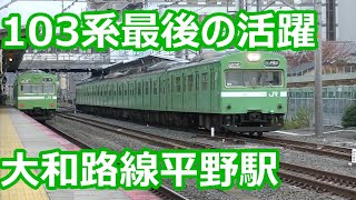 【夕暮れ定点観測】103系引退間近！？JR大和路線 平野駅【201系快速本線通過！221系本気の通過】