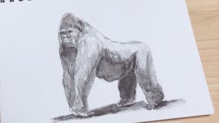 ペンと水彩色鉛筆で描く簡単な動物のゴリラの絵の描き方