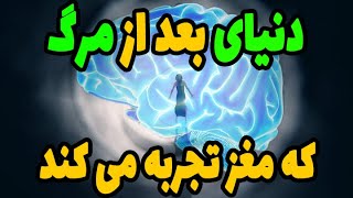 مغز دنیای پس از مرگ را چگونه درک خواهد کرد؟