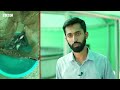 biofloc fish farming technology that requires minimal land but doubles the profit bbc urdu