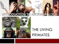 Anth101 The Living Primates Part 1 W22