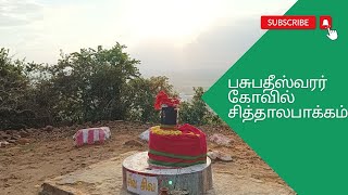 பசுபதீஸ்வார் கோவில் l சித்தாலபாக்கம் l Pasupatheeswarar Temple l Sithalapakkam l Prabhu Vlogs