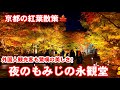 Kyoto Night Walk/Beautiful autumn leaves garden Eikandoji Temple/November 3 2023 永観堂の紅葉ライトアップ