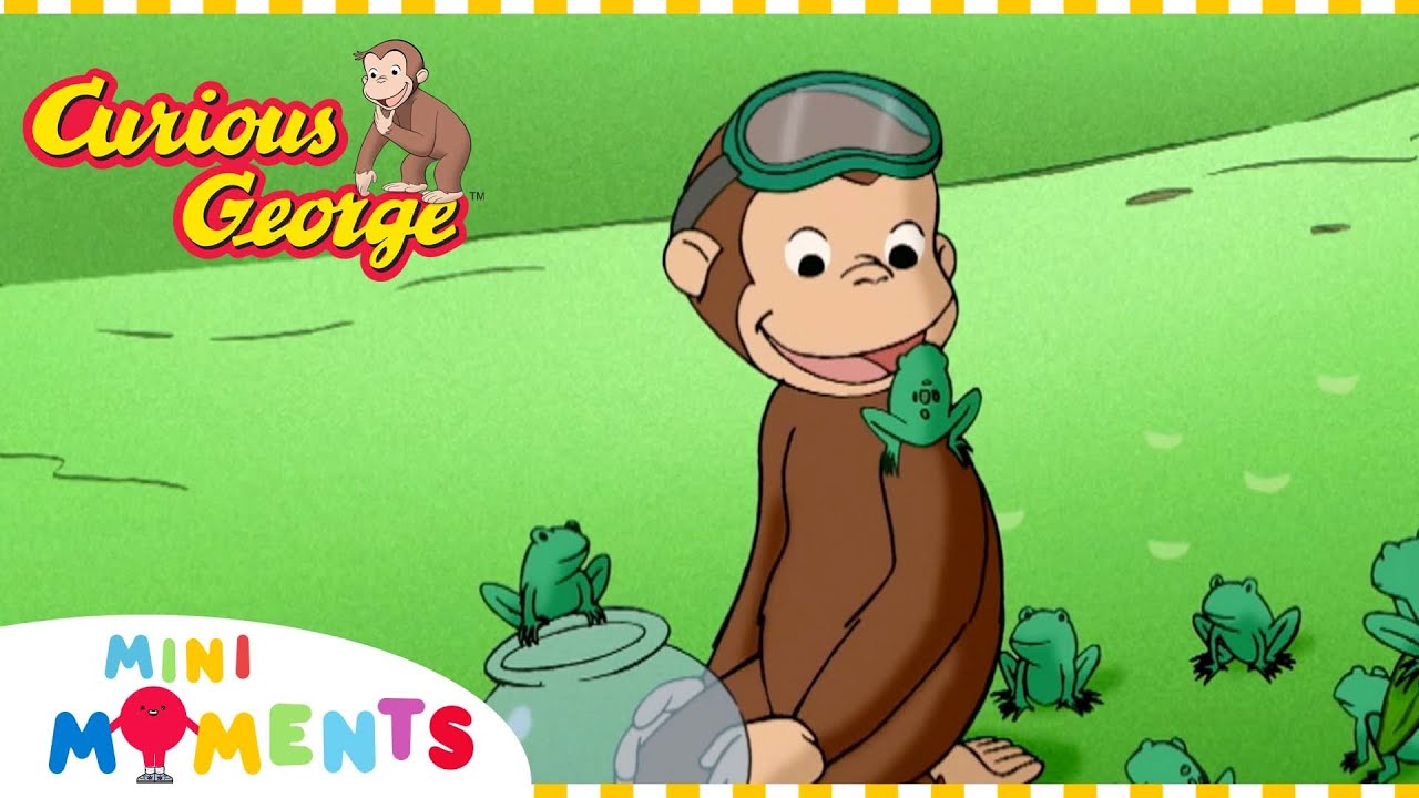 George Learns About Tadpoles 🐸 | Curious George | Mini Moments - YouTube