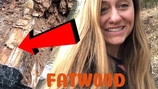 Harvesting fatwood on my own property!