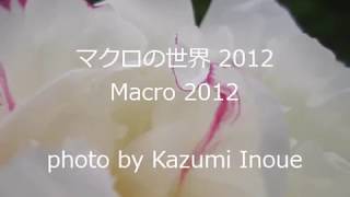 花、マクロの世界 2012　Macro 2012