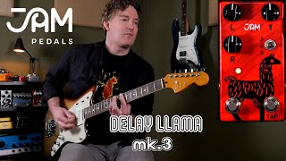 JAM Pedals Delay Llama Mk.3 Analog Delay