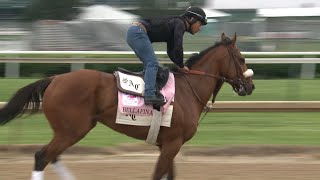 Bellafina early favorite for Kentucky Oaks