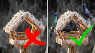 Vogelhaus kein Vogel kommt – Ursachen \u0026 Lösung / Vögel zum Vogelhaus locken und füttern – Tipps