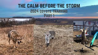 2024 Coyote Trapping Part 1- Set locations, skinning machine