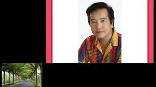 MỘT CÕI ĐI VỀ - Elvis Phương