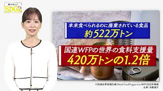 知りたい！SDGs #167 |2022/12/8放送