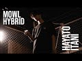 mowl Hybrid Ft. Hayato Itani