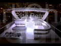 Luxury yacht Dubai - Elite Pearl Charter