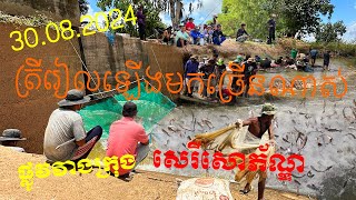 ត្រីរៀលធំៗ ឡើងមកច្រើនណាស់ ផ្លូវវាងក្រុងសេរីសោភ័ណ ខេត្តបន្ទាយមានជ័យ/ Unique Fishing Using Cast Nets