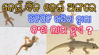 କେଉଁ ଦିନ କେଉଁ ଅଙ୍ଗରେ ଝିଟିପିଟି ଖସିବା ଦ୍ବାରା କ'ଣ ଲାଭ ହୁଏ ? ଝିଟିପିଟି ଅଙ୍ଗରେ ପଡିଲେ ଶୁଭ ନା ଅଶୁଭ ହୋଇଥାଏ 🤔