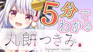 【祝・1周年】だいたい5分でわかる！？軋む社会のはぐるま・丸餅つきみ