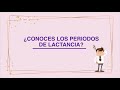 #LactanciaMaternaSí | Períodos de lactancia