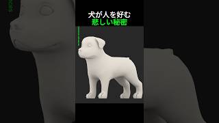 犬が人を好む悲しい理由