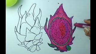 Menggambar dan mewarnai buah naga