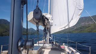 Exploring the Great Bear Rainforest British Columbia Canada - Sailing Oka Solo - 04