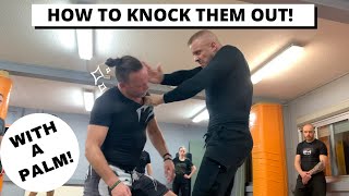 How to knock them out with a palmstrike!