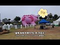 제70회 공주백제문화제 第70回公州百済文化祭