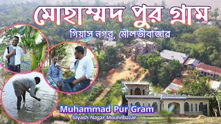 Village in Bangladesh Mahammadpur Gram in moulvibazar | মোহাম্মদপুর গ্রাম গিয়াসনগর