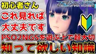 【初心者】PSO2NGSを遊ぶ上で必ず知っておきたい知識をまとめました①【やること】