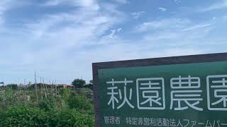 茅ヶ崎市　萩園　田園風景❣️❣️