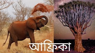 আফ্রিকা মহাদেশ | এর রহস্যময় কিছু তথ্য জেনে নিন | Africa Continent |