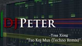 Youa Xiong - Tso Koj Mus (DJPeter Techno Remix)