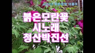 박진선 솔바람 붉은 모란꽃 시노래(시집 희망의 꽃씨) 화중지왕 , 화왕 모란꽃 자태 즐감하세요