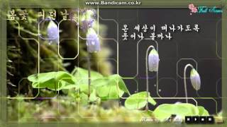 봄 꽃 피던날 영상 2015 04 29