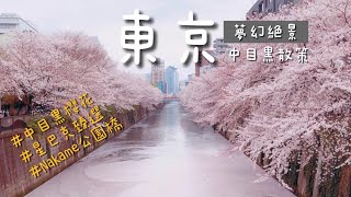 東京中目黑絕美賞櫻景點｜星巴克臻選,Nakame公園橋