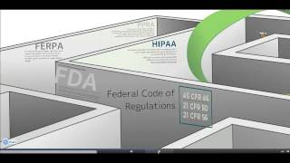 Overview of MSU's Human Research Project Approval Process