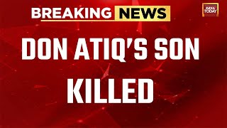 Don Atiq's Son Asad Killed In An Encounter | Son Of Don Atiq Ahmed Killed In Encounter