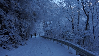 雪の丹沢