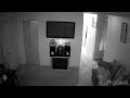 burglar caught on home surveillance