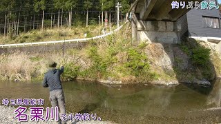 綺麗な流れの中で釣れたのは？   飯能市 名栗川（入間川）で小物釣り。