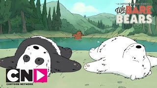 Piknik | Medvetesók | Cartoon Network