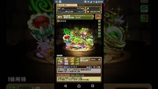 【パズドラ】セルケト降臨！ 劉備 周回編成