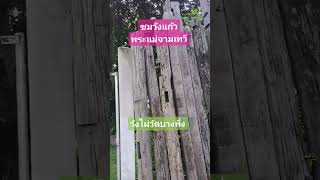 ชมวังแก้วพระแม่จามเทวีวัดบางพึ่ง