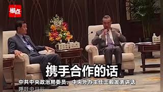 王毅：头发染得再黄鼻子修得再尖也变不了欧美人，要知道自己的根在什么地方